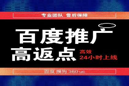 百度竞价广告投放全解析：成功案例揭秘